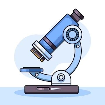 pulmon tuberculosis