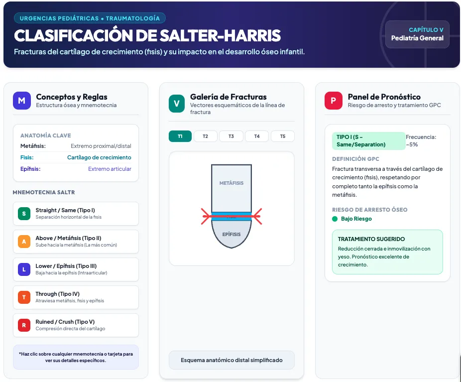 Infografía interactiva sobre la Clasificación de Salter-Harris para fracturas del cartílago de crecimiento, detallando los Tipos I a V, mnemotecnia SALTR, implicación de la fisis, metáfisis y epífisis, y el riesgo de arresto óseo pediátrico.